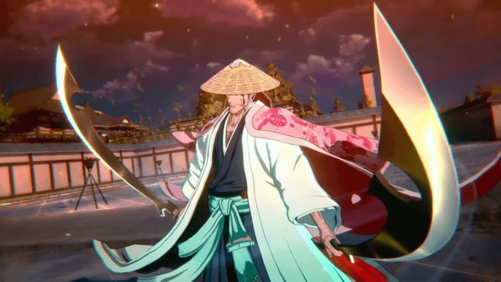 Bleach Rebirth of Souls character