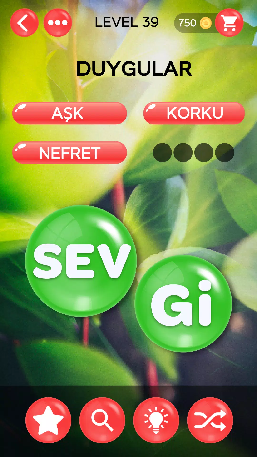 Kelime Şöleni应用截图第0张