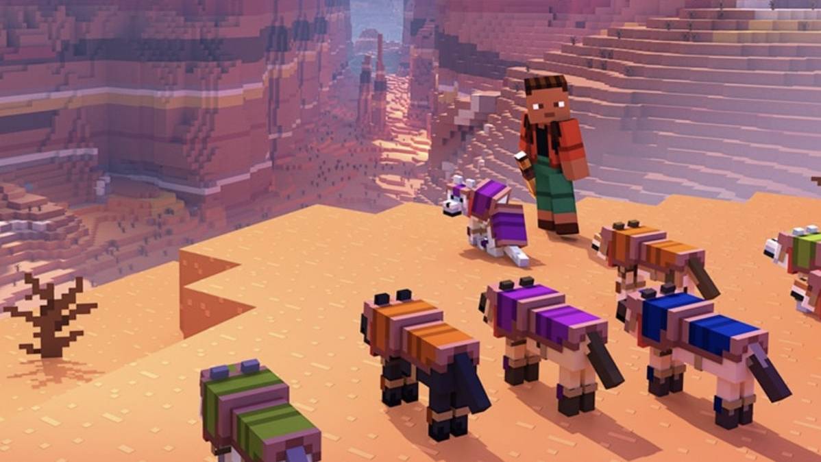 Collezione di scute Armadillo Minecraft
