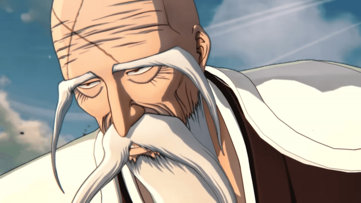 Bleach Rebirth of Souls character