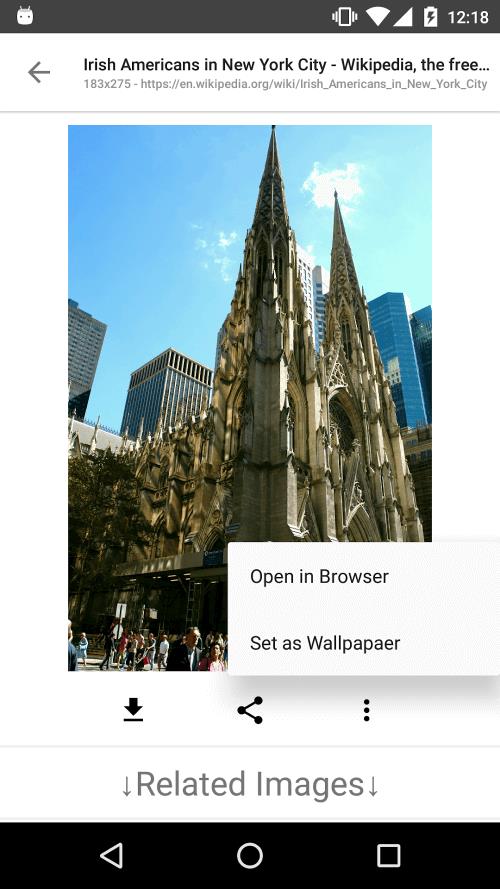 ImageSearchMan应用截图第3张