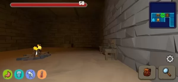A picture of a first-person perspective in a dark dungeon, with health, hunger, and thirst bars visible