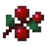 MINCRAFT တွင်ရှင်သန်မှုသိကောင်းစရာများ