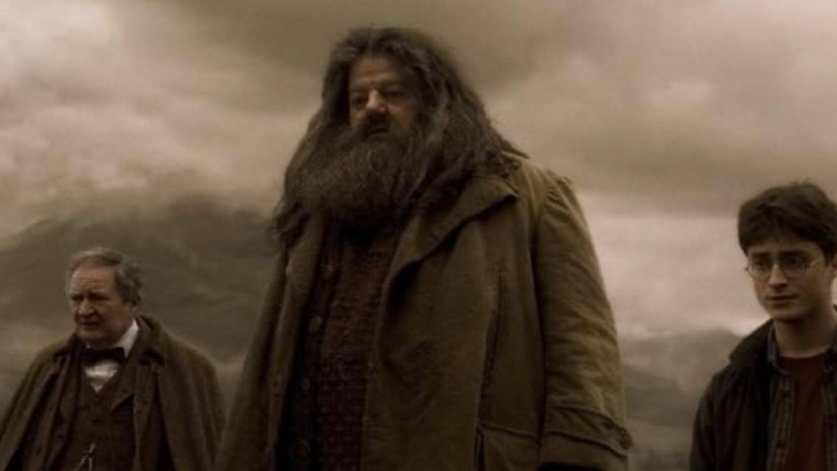 羅比·科爾特蘭（Robbie Coltrane）在 *半血王子 *
