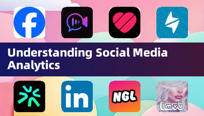 Understanding Social Media Analytics