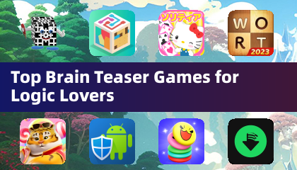 논리 팬을 위한 최고의 브레인 테이저 게임